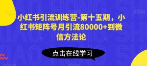 小红书引流训练营-第十五期，小红书矩阵号月引流80000+到微信方法论-21资源库