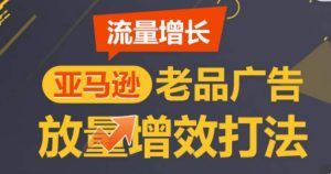 亚马逊流量增长-老品广告放量增效打法，循序渐进，打造更多TOP listing​-21资源库