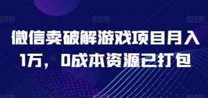 微信卖破解游戏项目月入1万,0成本资源已打包【揭秘】-21资源库