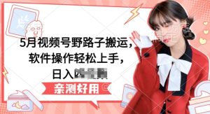 5月视频号野路子搬运,软件操作轻松上手,日入三位数【揭秘】-21资源库