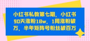 小红书私教第七期,小红书90天涨粉18w,1周涨粉破万,半年矩阵号粉丝破百万-21资源库