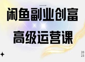 闲鱼电商运营高级课程，一部手机学会闲鱼开店赚钱-21资源库