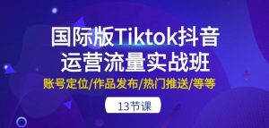 国际版Tiktok抖音运营流量实战班：账号定位/作品发布/热门推送/等等-13节-21资源库