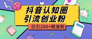 外面收费3980抖音认知圈引流创业粉玩法日引200+精准粉【揭秘】-21资源库