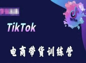 TikTok电商带货训练营,跟随时代潮流,跨境掘金-21资源库