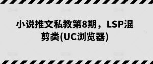 小说推文私教第8期，LSP混剪类(UC浏览器)-21资源库