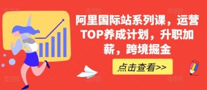 阿里国际站系列课,运营TOP养成计划,升职加薪,跨境掘金-21资源库