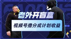 老外开盲盒视频，撸视频号分成计划收益，每天只需一小时，新手小白轻松上手【揭秘】-21资源库