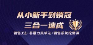从小新手到销冠 三合一速成:销售3法+非暴力关单法+销售系统挖需课 (27节)-21资源库