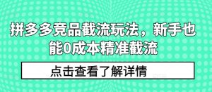 拼多多竞品截流玩法,新手也能0成本精准截流-21资源库