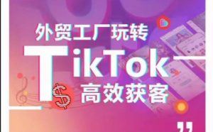 外贸工厂玩转TikTok高效获客,多种引流方式与账号定位技巧,拆解爆款短视频打造成功案例-21资源库