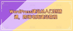 WordPress建站从入门到精通,跨境电商建站教程-21资源库