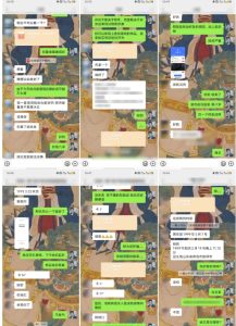 云起龙骧|15天纯利10W+，国学掘金计划玩法全网首次公开【揭秘】-21资源库