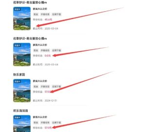 磁力聚星游戏副业陪跑训练营1.0,长期稳定项目,有人一周干了1K+-21资源库