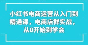 小红书电商运营从入门到精通课,电商店群实战,从0开始到学会-21资源库