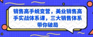 销售高手蜕变营,美业销售高手实战体系课,三大销售体系带你破局-21资源库