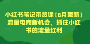 小红书笔记带货课【6月更新】流量电商新机会，抓住小红书的流量红利-21资源库