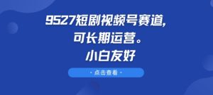 9527短剧视频号赛道，可长期运营，小白友好【揭秘】-21资源库