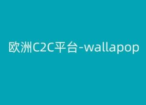 欧洲C2C平台-wallapop-kim跨境电商教程-21资源库
