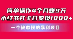 简单操作4个月赚9w，小红书打卡日变现1k，一个被忽视的暴力项目【揭秘】-21资源库