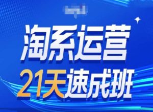 淘系运营24天速成班第28期最新万相台无界带免费流量-21资源库