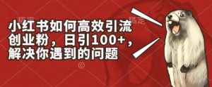 小红书如何高效引流创业粉，日引100+，解决你遇到的问题【揭秘】-21资源库