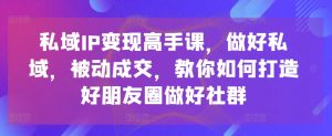 私域IP变现高手课,做好私域,被动成交,教你如何打造好朋友圈做好社群-21资源库