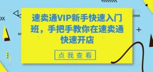 速卖通VIP新手快速入门班，手把手教你在速卖通快速开店-21资源库