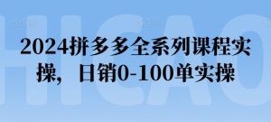 2024拼多多全系列课程实操，日销0-100单实操【必看】-21资源库
