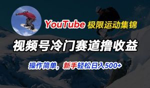 视频号冷门赛道撸收益,YouTube搬运极限运动集锦,暴力起号,操作简单流量高,轻松日入5张【揭秘】-21资源库