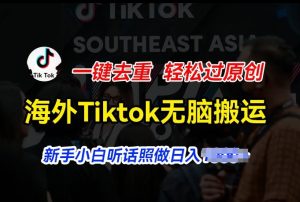 海外Tiktok短视频无脑搬运,一键去重轻松过原创,新手小白听话照做日入几张【揭秘】-21资源库
