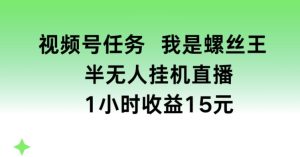 视频号任务，我是螺丝王， 半无人挂机1小时收益15元【揭秘】-21资源库