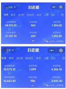 最新抖音无人直播项目，外面收费10w+的爆力玩法，当天必出单-21资源库