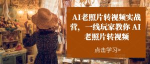 AI老照片转视频实战营，一线玩家教你AI老照片转视频-21资源库