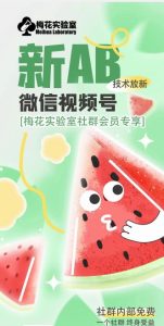 梅花实验室2024年AB技术视频号AB合成破解版-21资源库