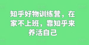 知乎好物训练营,在家不上班,靠知乎来养活自己-21资源库