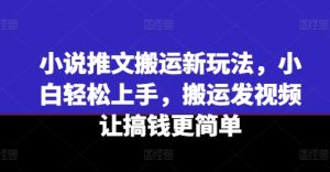 小说推文搬运新玩法，小白轻松上手，搬运发视频让搞钱更简单-21资源库
