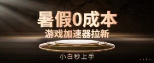 暑假0成本游戏加速器拉新,小白秒上手,无需投资【揭秘】-21资源库