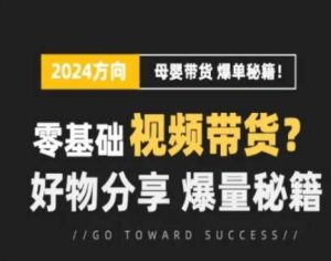 短视频母婴赛道实操流量训练营，零基础视频带货，好物分享，爆量秘籍-21资源库