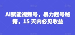 AI赋能视频号，暴力起号秘籍，15 天内必见收益【揭秘】-21资源库