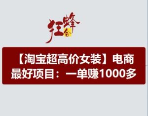 淘宝超高价女装项目，电商最好赛道，一单赚1000多-21资源库