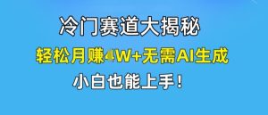 冷门赛道大揭秘,轻松月赚1W+无需AI生成,小白也能上手【揭秘】-21资源库