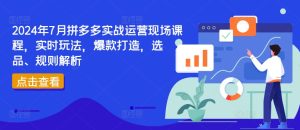 2024年7月拼多多实战运营现场课程，实时玩法，爆款打造，选品、规则解析-21资源库