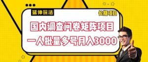 国内调查问卷矩阵项目，一人批量多号月入3000【揭秘】-21资源库
