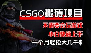 CSGO 装备搬砖项目，操作简单，不需要会玩游戏，小白也能快速上手，一个月轻松大几千【揭秘】-21资源库