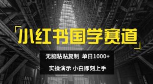小红书国学赛道,无脑粘贴复制,单日1K,实操演示,小白即刻上手【揭秘】-21资源库