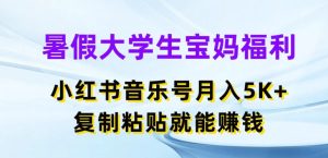 暑假大学生宝妈福利,小红书音乐号月入5000+,复制粘贴就能赚钱【揭秘】-21资源库