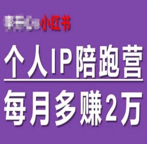 小红书个人IP陪跑营，60天拥有自动转化成交的双渠道个人IP，每月多赚2w-21资源库