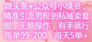 微头条+公众号小绿书,精准引流男粉到私域卖套图,无脑操作,有手就行,每单99-200,每天5单-21资源库
