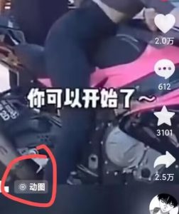 2024年7月苹果手机动图搬运技术-21资源库